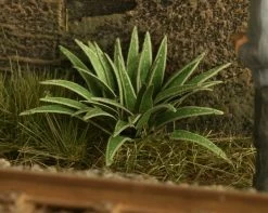 Model Scene VG4-006 Hart's-tongue