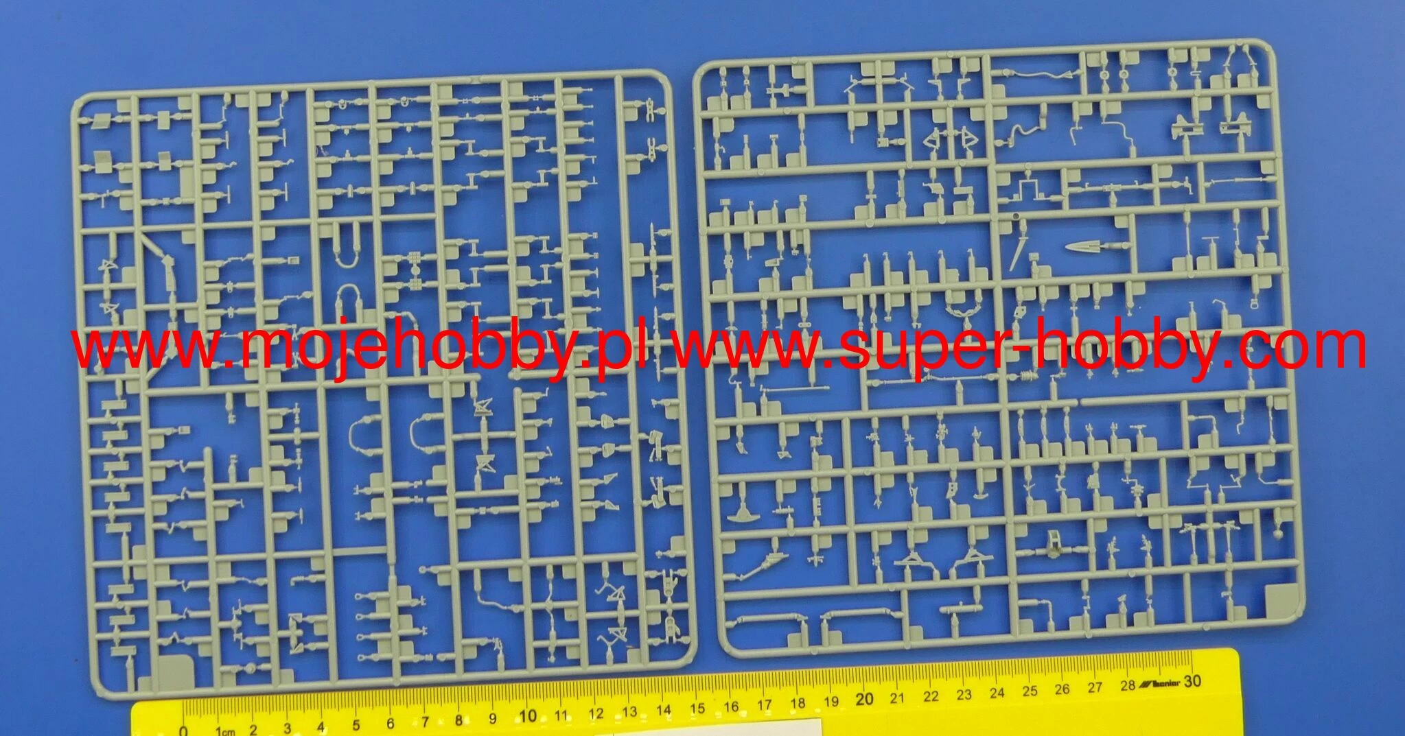 Minibase 8002 Su-27K Sea Flanker W/Kh-41 Moskit - Image 5