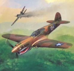 Haliński KA-2-2004 Curtiss P-40E